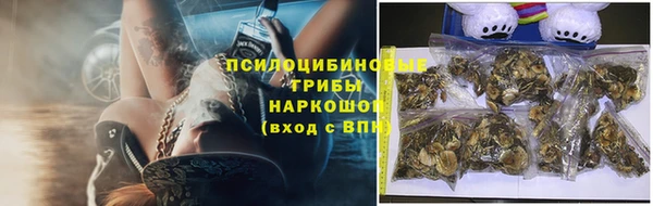 Альфа ПВП Арсеньев