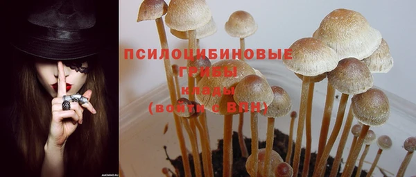 Альфа ПВП Арсеньев