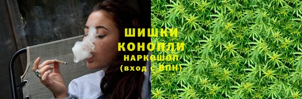 шишки Аркадак