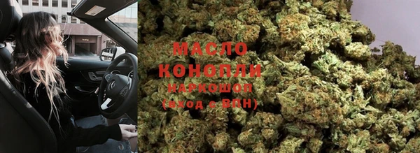 шишки Аркадак