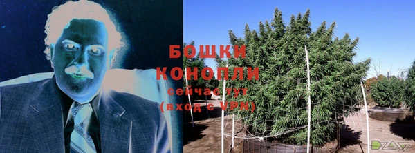 шишки Аркадак