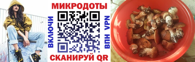 Псилоцибиновые грибы MAGIC MUSHROOMS  Тетюши 